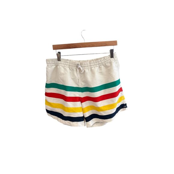 chubbies Other - Chubbies USA Swim Trunks Shorts Men’s Large L Rainbow Stripe Retro Board Shorts